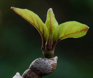Person overcoming rejection and building mental strength and focus